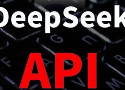 完全免费国产视频,揭秘国内免费视频平台的魅力之旅