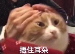 太粗太深了太紧太爽了国产,太粗太深太紧太爽，揭秘国产新高度