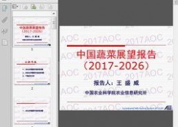 国产27页,深度解析中国电影产业的新篇章