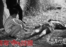 国产老熟,传承与创新中的民族品牌崛起之路