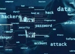 国产高清黄网站全免费